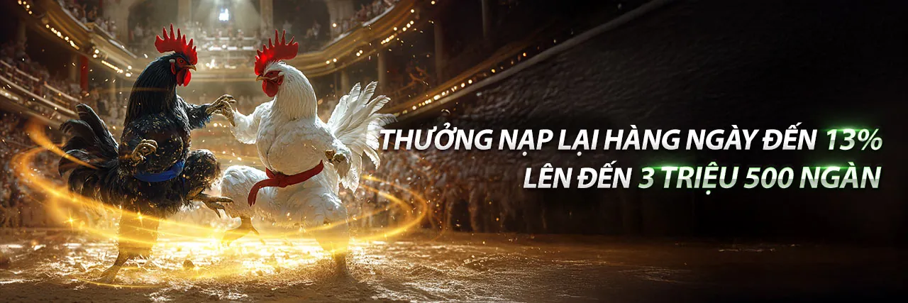 Đội ngũ hỗ trợ khách hàng chuyên nghiệp của vnd789 code